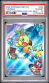 Turtwig