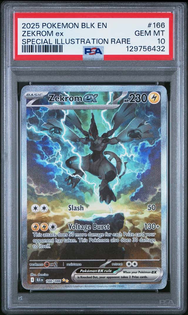Zekrom ex PSA 10 2025 Pokemon Black Bolt #166/086 Special Illustration Rare 6432