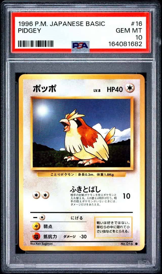 Pidgey