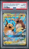 Raichu & Alolan Raichu Gx