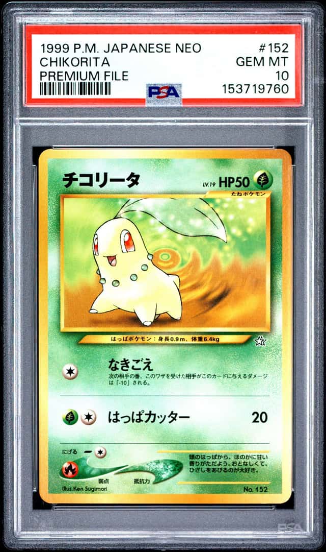 Chikorita