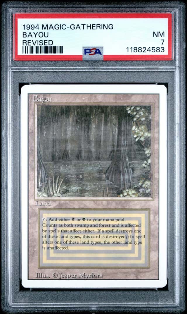 Bayou