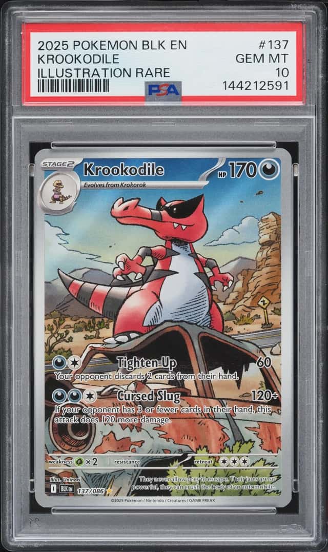 Krookodile