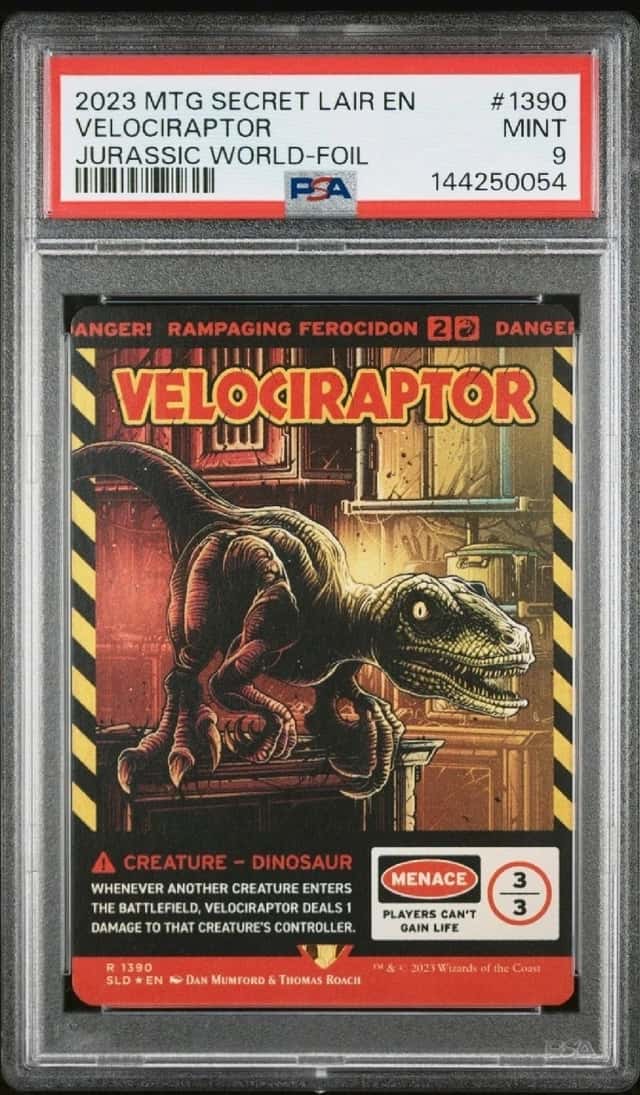Velociraptor