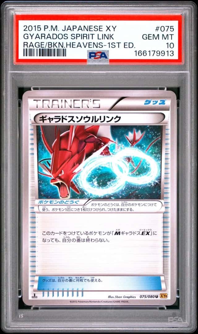 Gyarados Spirit Link