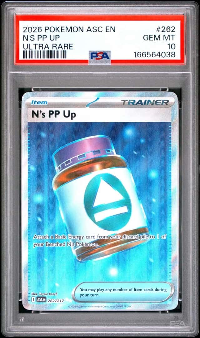 N's PP Up