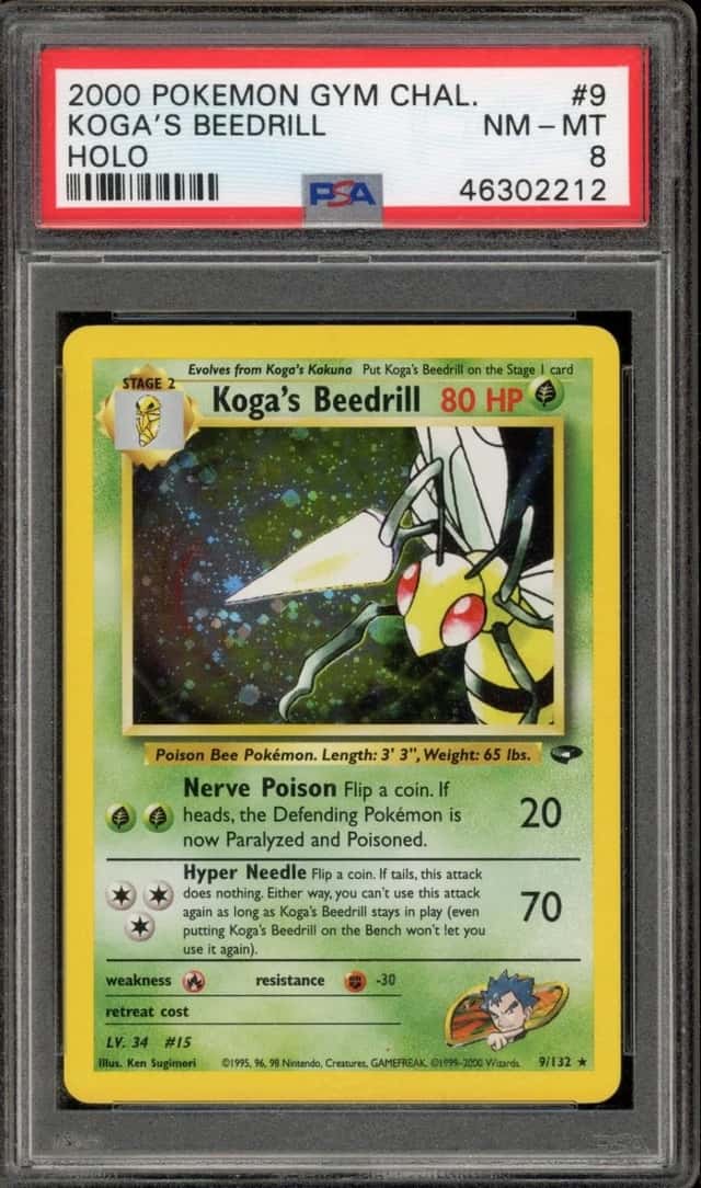 Koga's Beedrill