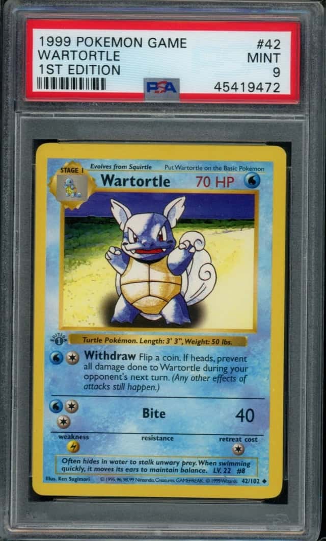 Wartortle