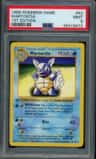 Wartortle