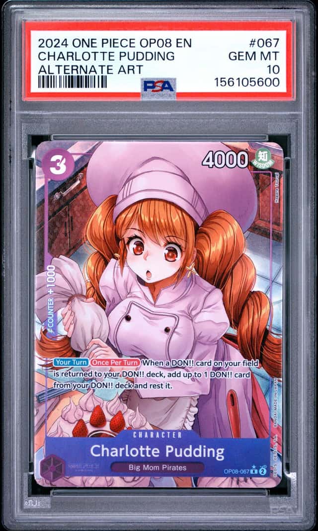 Charlotte Pudding