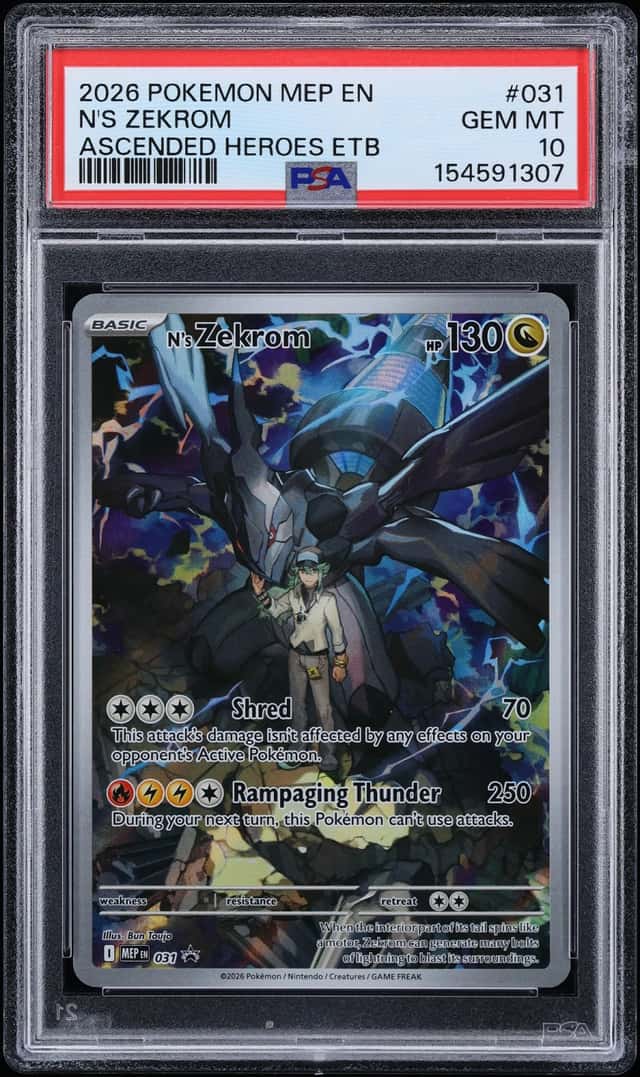 N's Zekrom