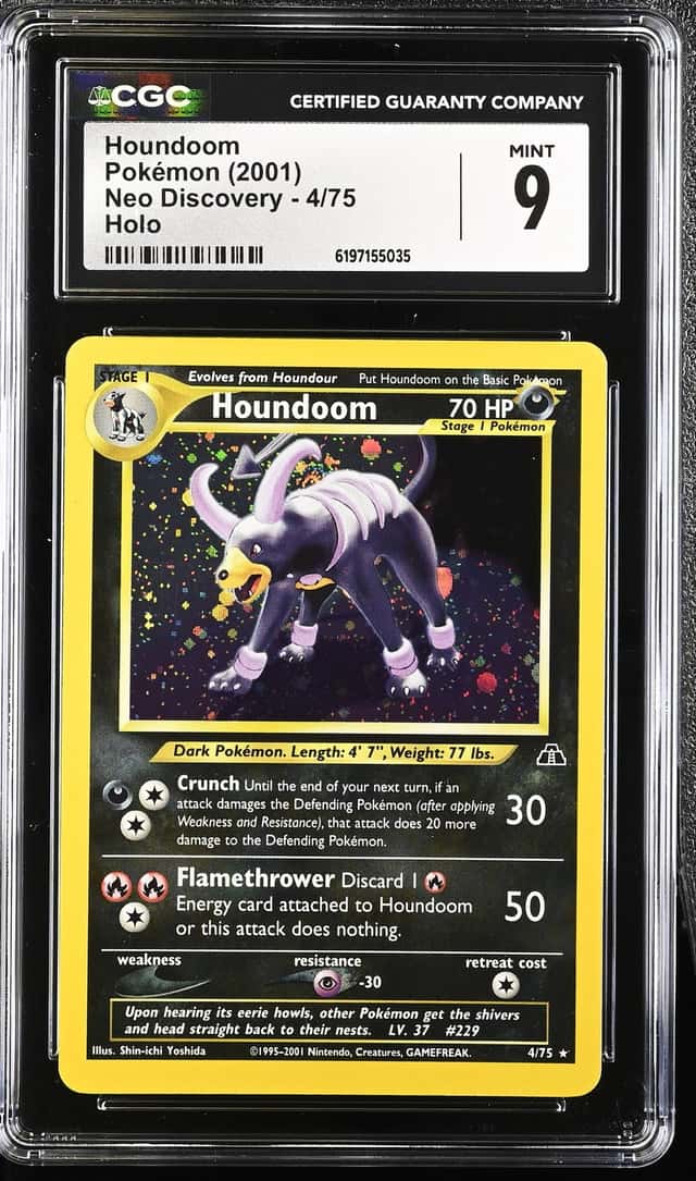 Houndoom