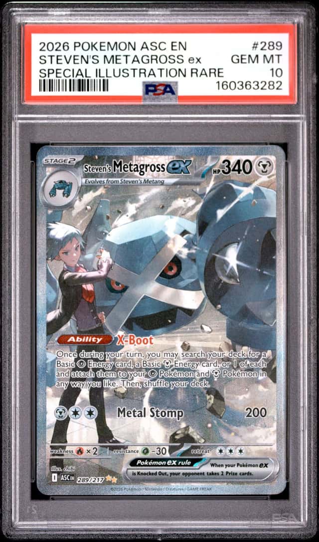 STEVEN'S METAGROSS ex