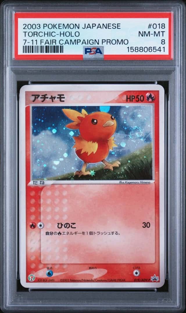 Torchic