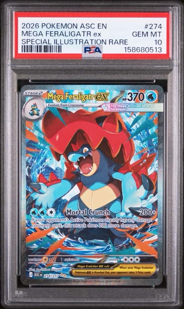 MEGA FERALIGATR ex