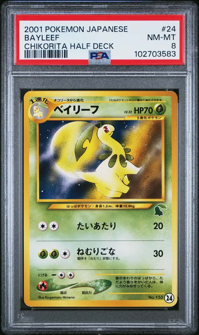 Bayleef