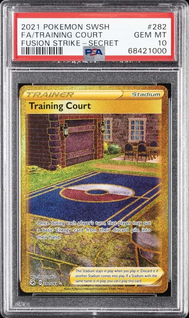 Training Court