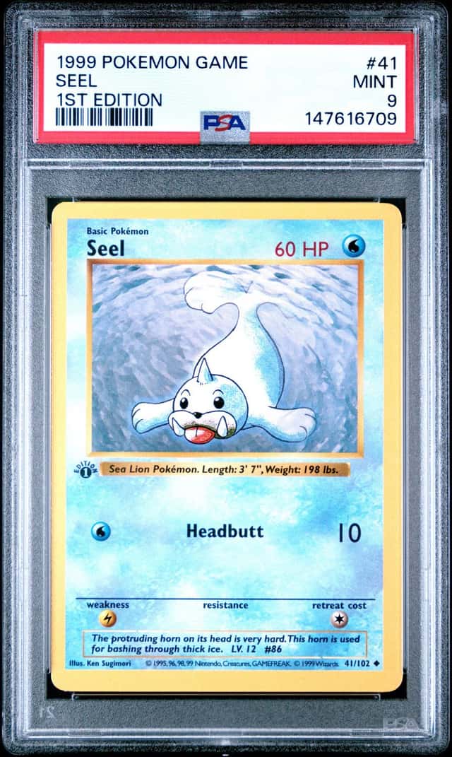 Seel