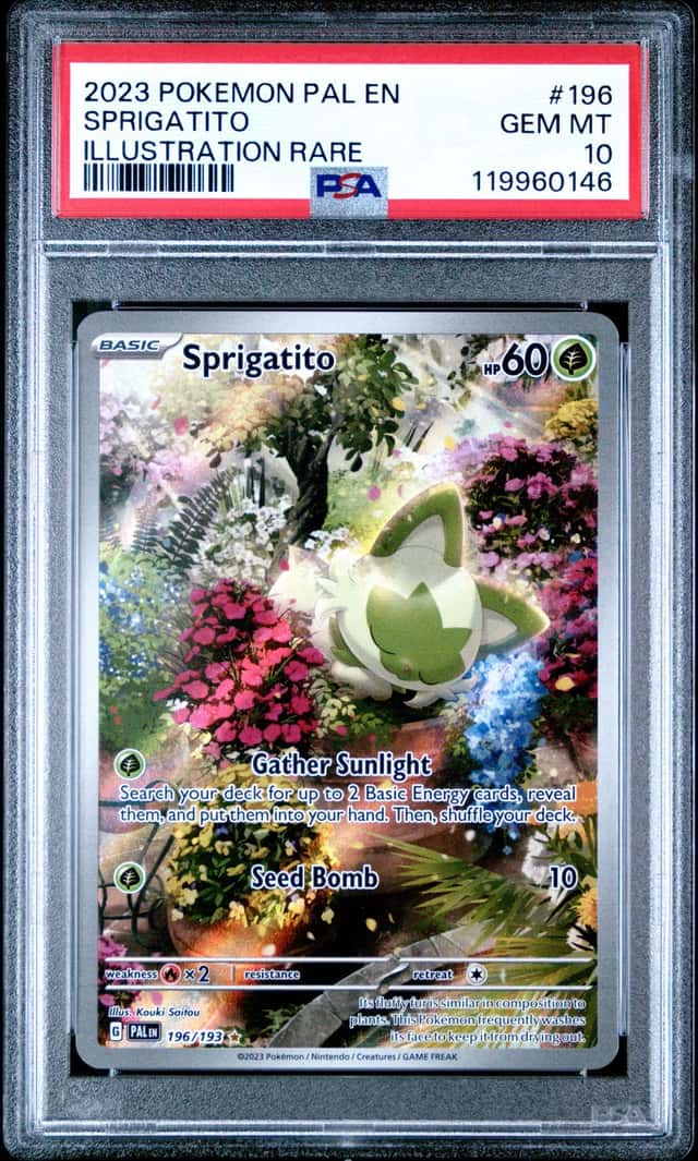 Sprigatito