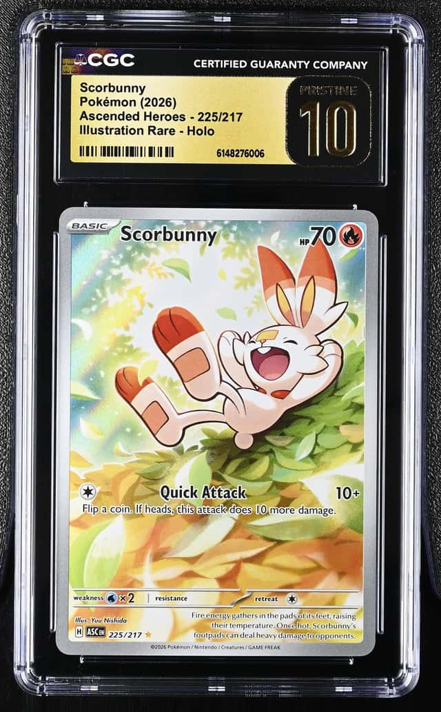 Scorbunny