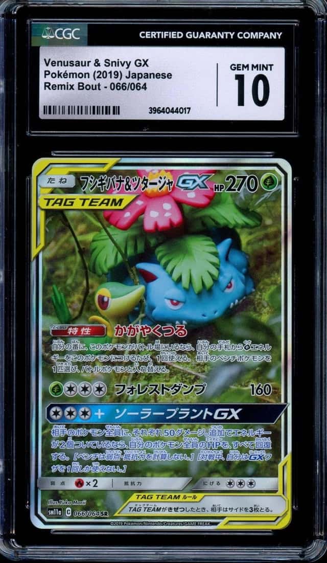 Venusaur & Snivy GX