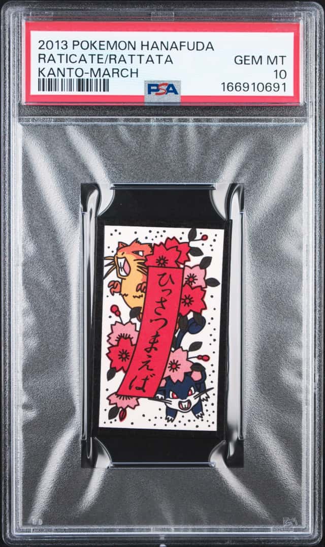 Raticate/Rattata