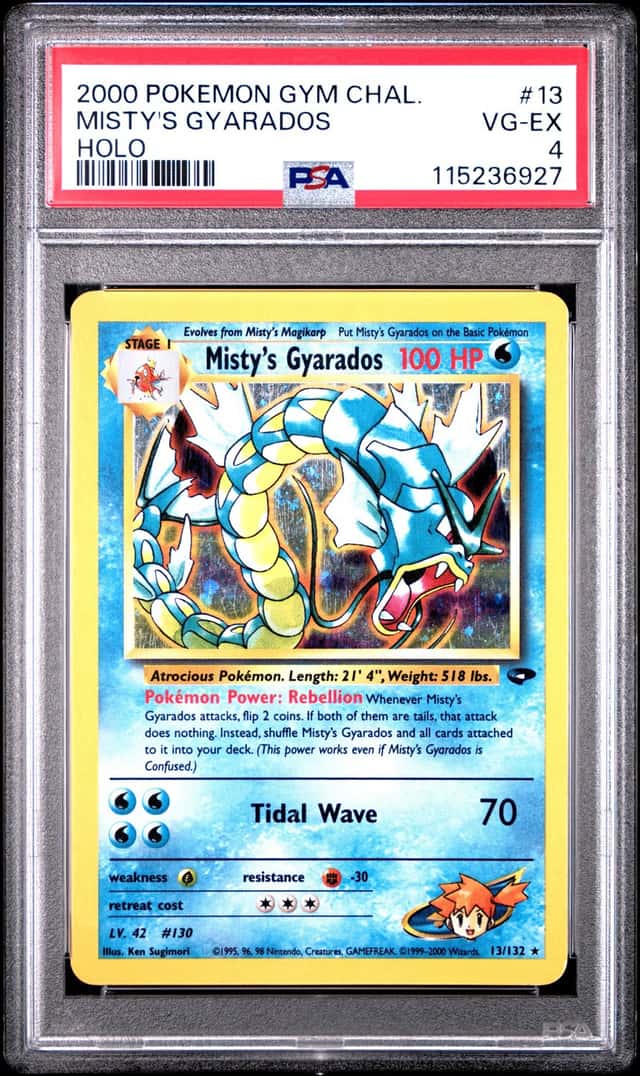 Misty's Gyarados
