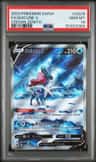 Suicune V