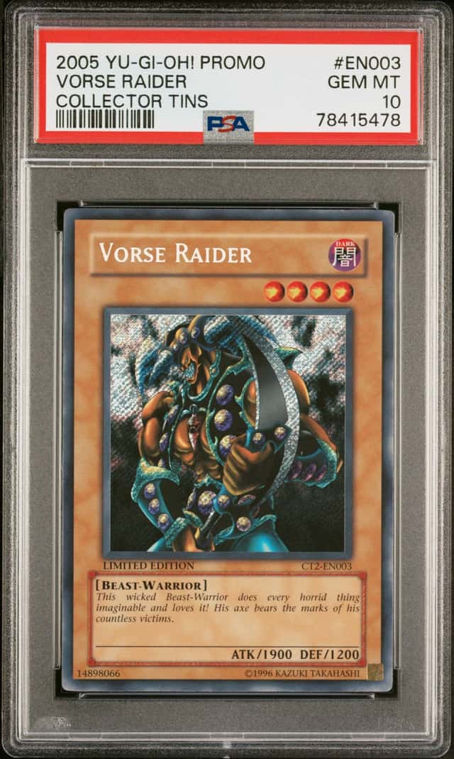 Vorse Raider
