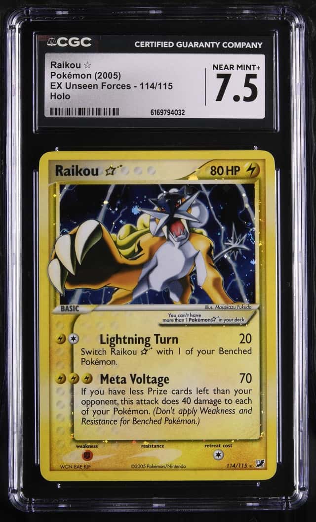 Raikou