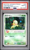 Turtwig