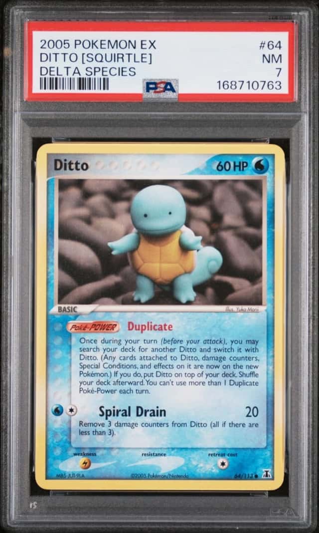 Ditto [Squirtle]