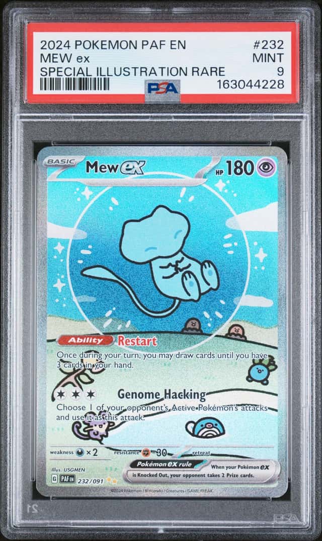 MEW ex