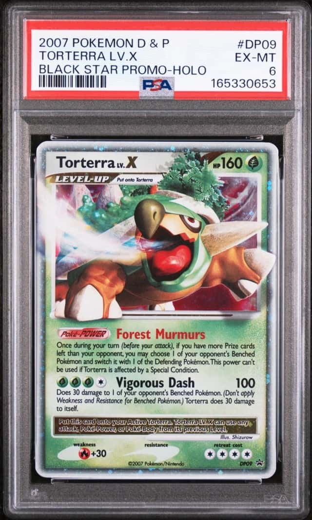 TORTERRA LV.X