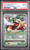 Torterra Lv.x