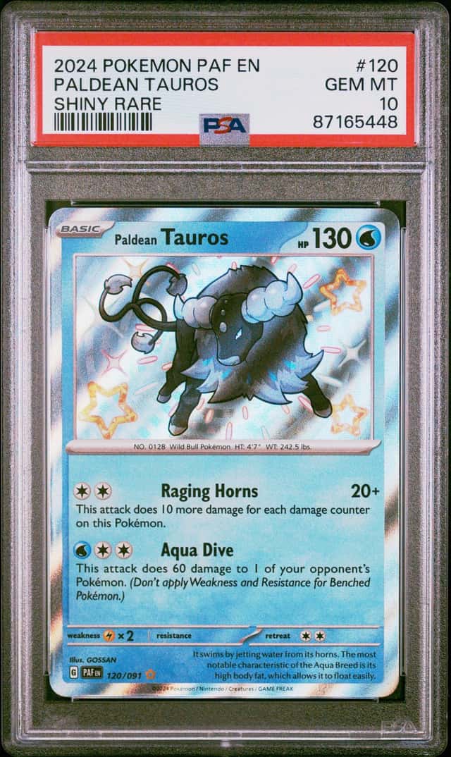 Paldean Tauros