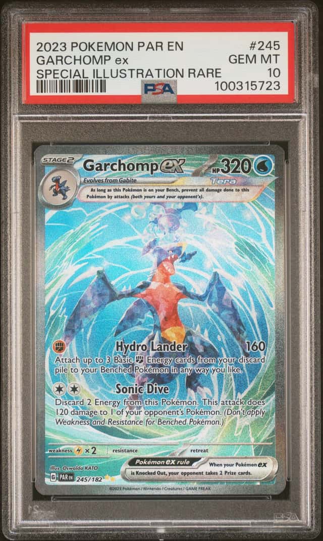 GARCHOMP ex
