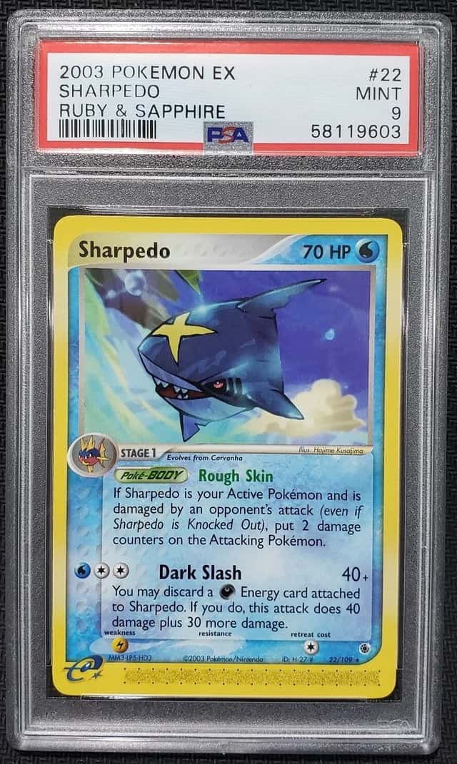 Sharpedo