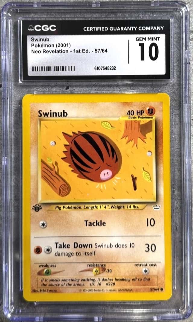 Swinub