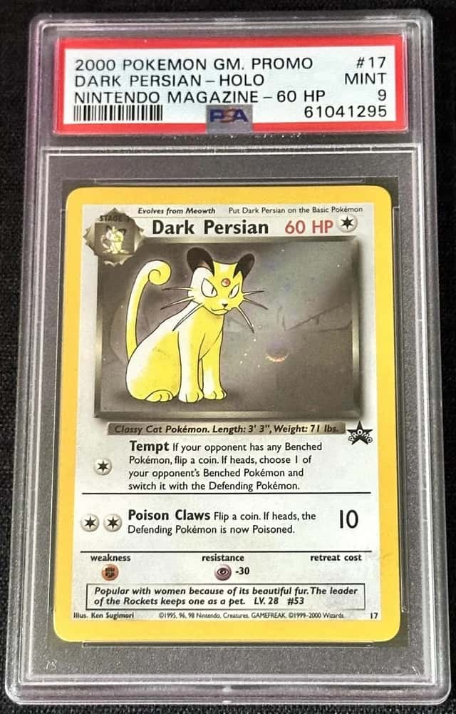 Dark Persian