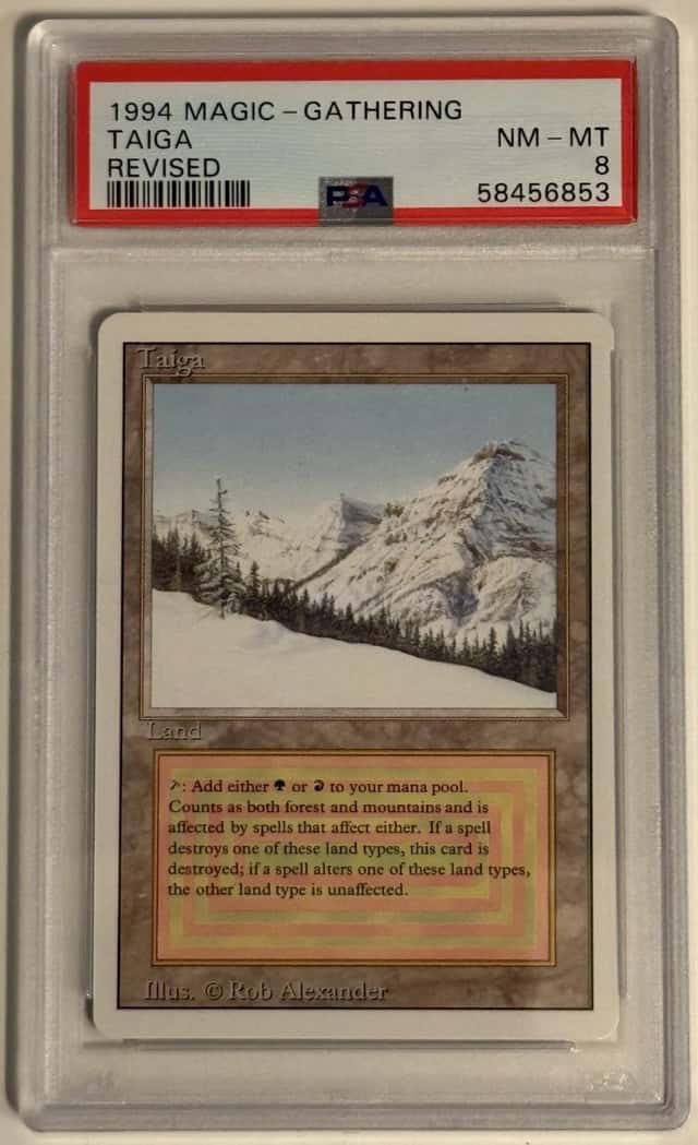 Taiga