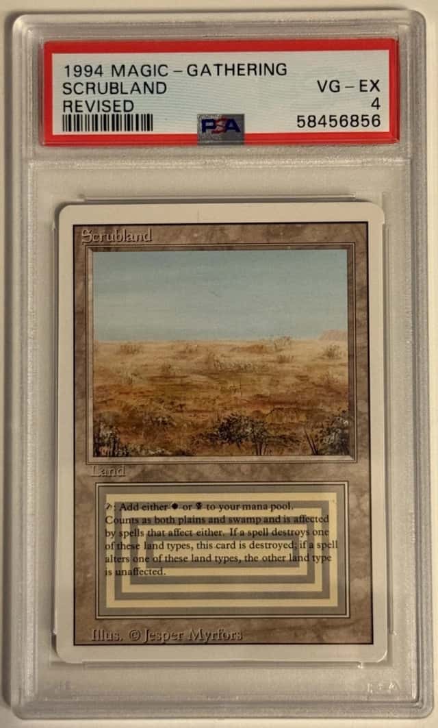 Scrubland