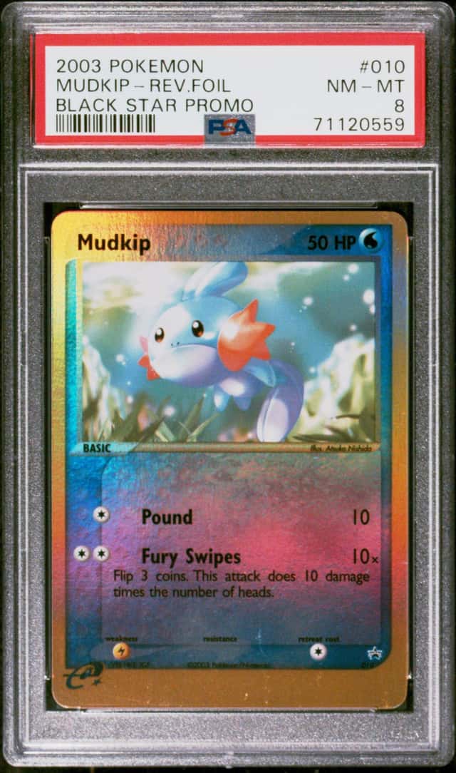 Mudkip