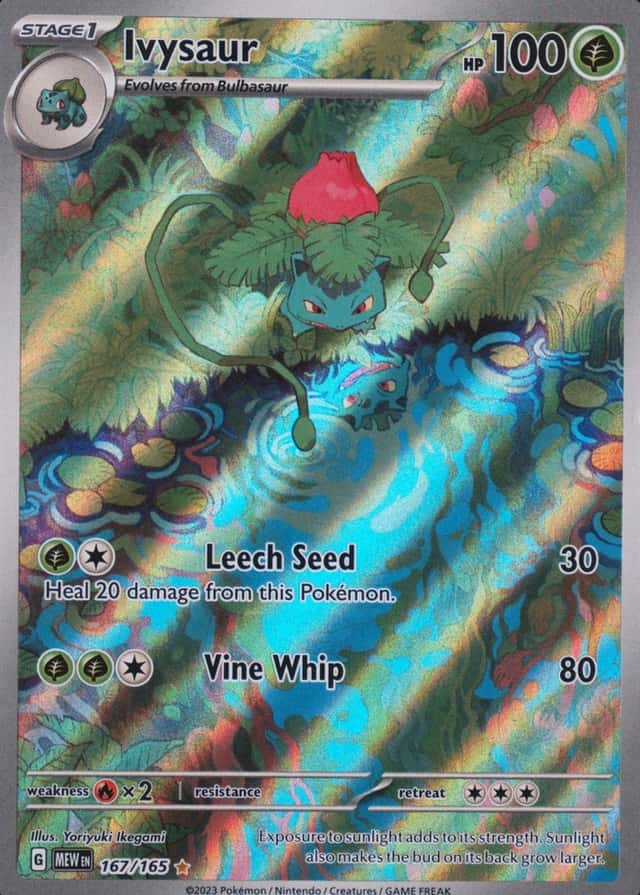 Base / no variant