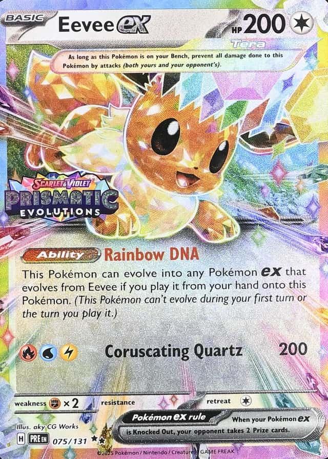 Holo · Box Exclusive Surprise