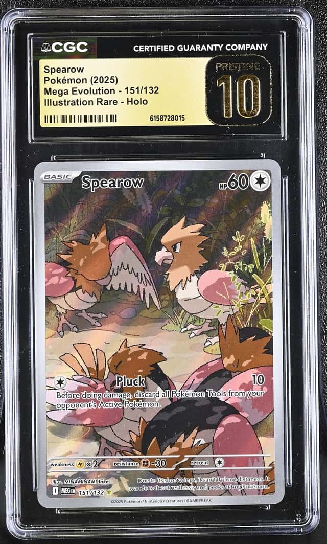 Spearow
