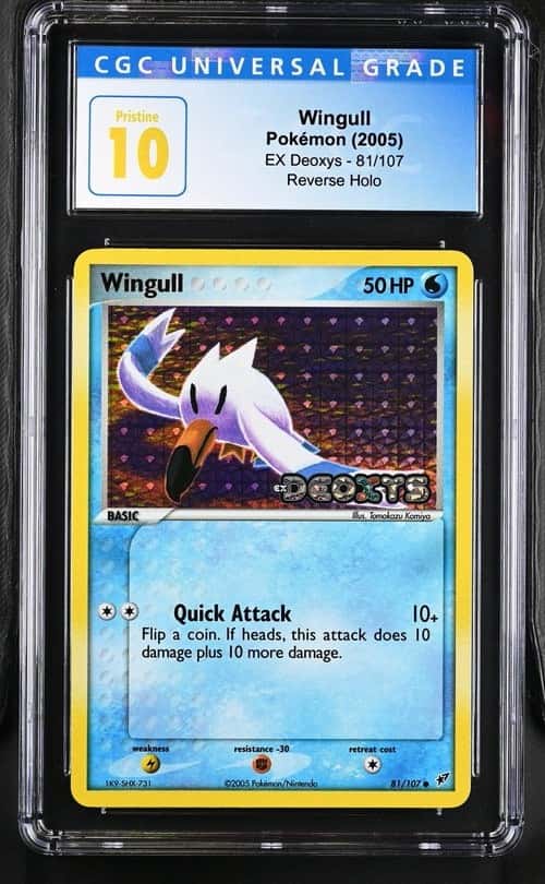 Wingull