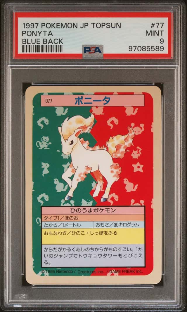Ponyta