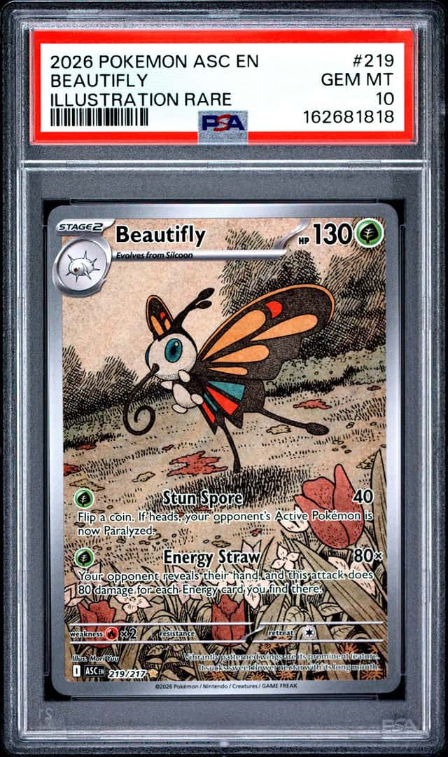 Beautifly