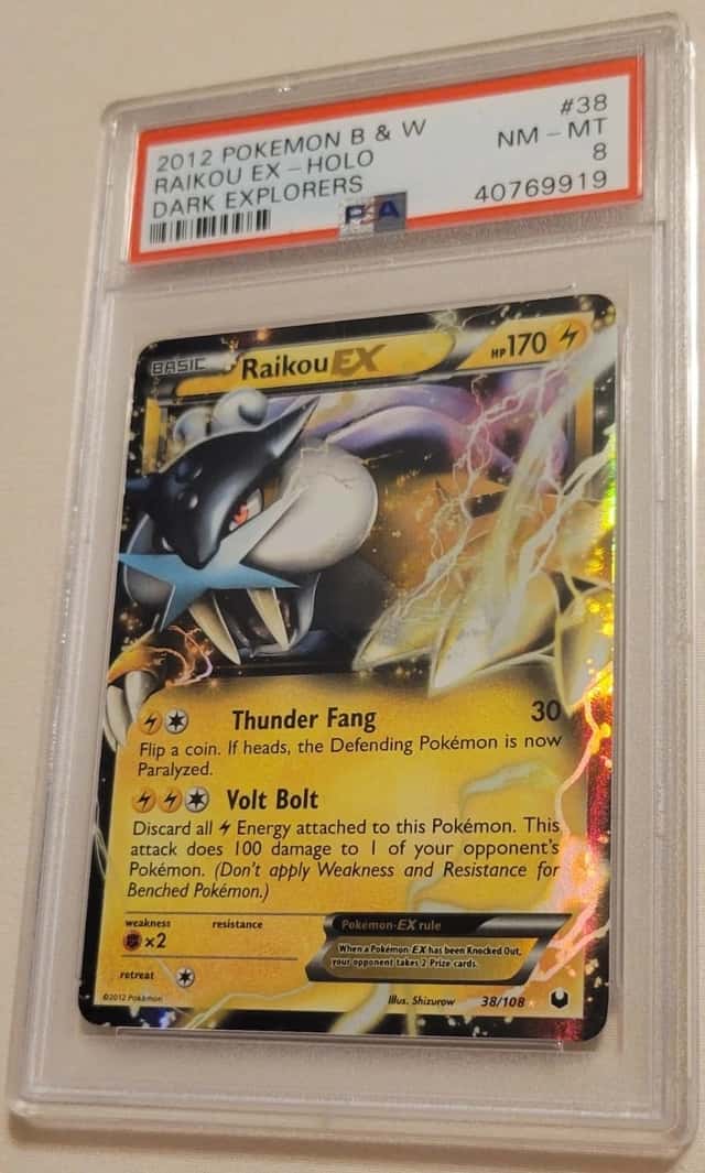Raikou EX